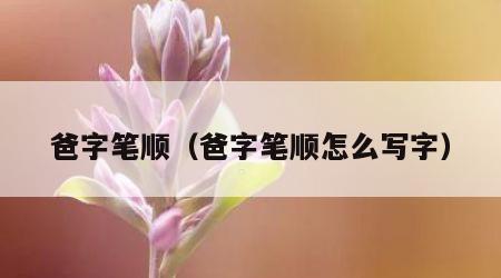 爸字笔顺（爸字笔顺怎么写字）