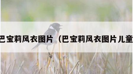 巴宝莉风衣图片（巴宝莉风衣图片儿童）