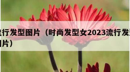 流行发型图片（时尚发型女2023流行发型图片）