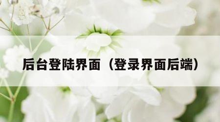 后台登陆界面（登录界面后端）