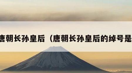 唐朝长孙皇后（唐朝长孙皇后的绰号是）