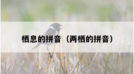 栖息的拼音（两栖的拼音）