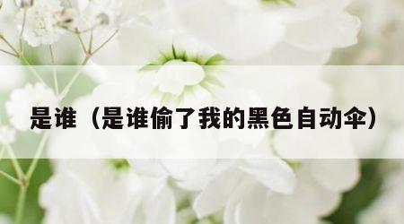 是谁（是谁偷了我的黑色自动伞）
