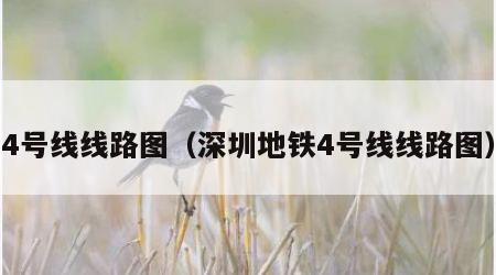 4号线线路图（深圳地铁4号线线路图）