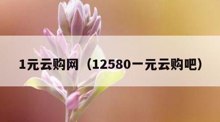 1元云购网（12580一元云购吧）