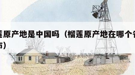 榴莲原产地是中国吗（榴莲原产地在哪个省哪个市）