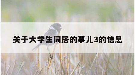 关于大学生同居的事儿3的信息