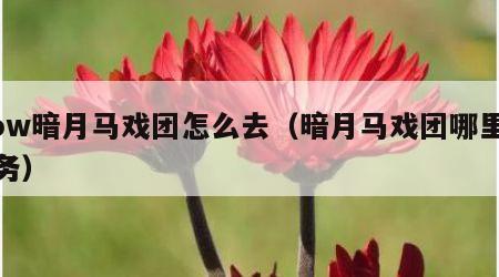 wow暗月马戏团怎么去（暗月马戏团哪里接任务）