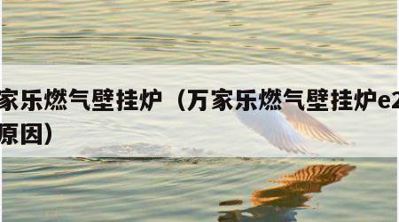 万家乐燃气壁挂炉（万家乐燃气壁挂炉e2什么原因）