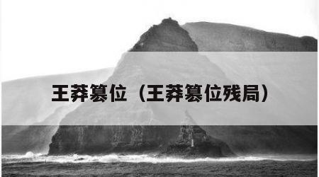 王莽篡位（王莽篡位残局）
