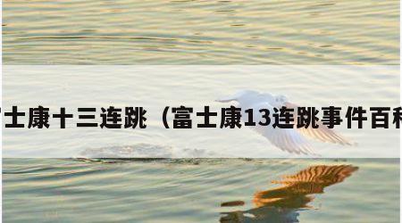 富士康十三连跳（富士康13连跳事件百科）