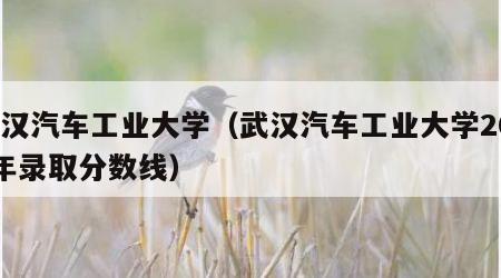 武汉汽车工业大学（武汉汽车工业大学2020年录取分数线）
