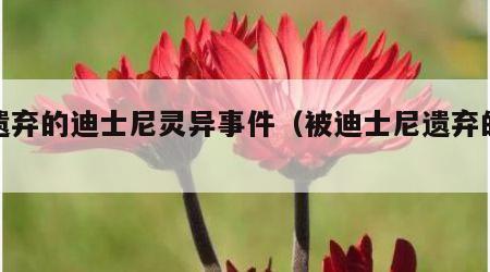 被遗弃的迪士尼灵异事件（被迪士尼遗弃的人）