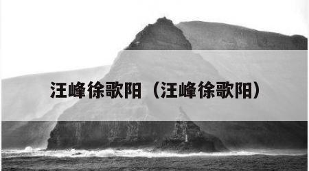 汪峰徐歌阳（汪峰徐歌阳）