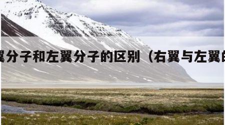 右翼分子和左翼分子的区别（右翼与左翼的区别）