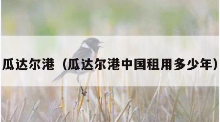 瓜达尔港（瓜达尔港中国租用多少年）