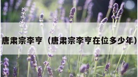 唐肃宗李亨（唐肃宗李亨在位多少年）