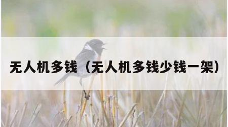 无人机多钱（无人机多钱少钱一架）