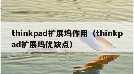 thinkpad扩展坞作用（thinkpad扩展坞优缺点）