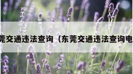 东莞交通违法查询（东莞交通违法查询电话）