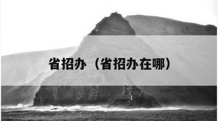省招办（省招办在哪）