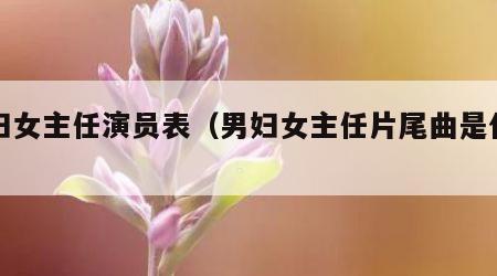 男妇女主任演员表（男妇女主任片尾曲是什么）