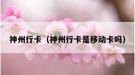 神州行卡（神州行卡是移动卡吗）