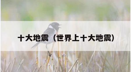 十大地震（世界上十大地震）
