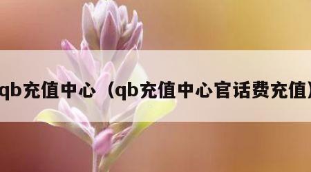 qb充值中心（qb充值中心官话费充值）