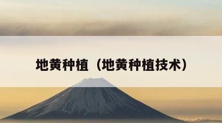 地黄种植（地黄种植技术）