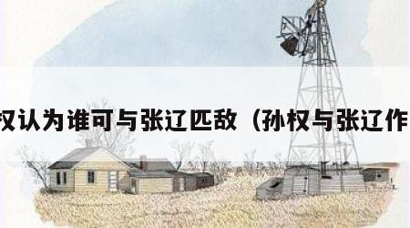 孙权认为谁可与张辽匹敌（孙权与张辽作战）