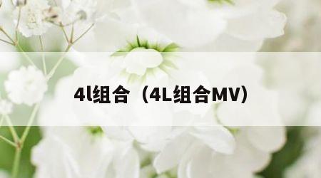 4l组合（4L组合MV）