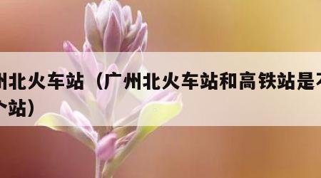 广州北火车站（广州北火车站和高铁站是不是一个站）