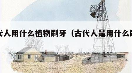 古代人用什么植物刷牙（古代人是用什么刷牙的）