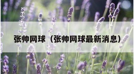 张帅网球（张帅网球最新消息）