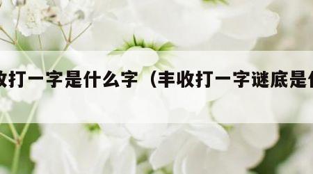 丰收打一字是什么字（丰收打一字谜底是什么字）