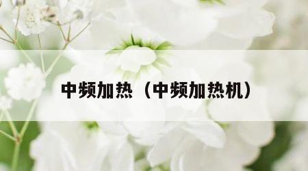 中频加热（中频加热机）