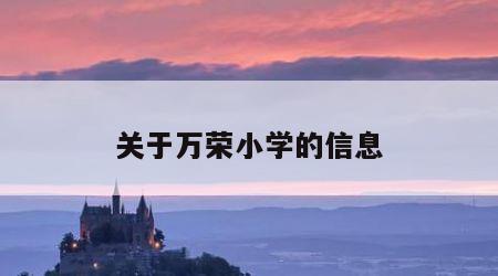 关于万荣小学的信息