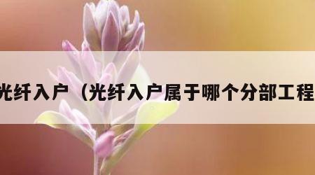 光纤入户（光纤入户属于哪个分部工程）