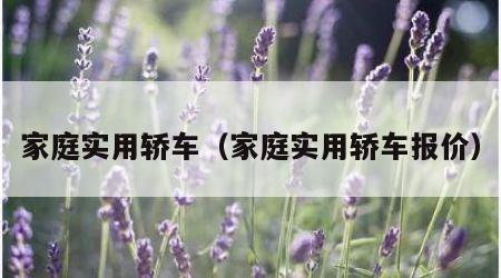 家庭实用轿车（家庭实用轿车报价）