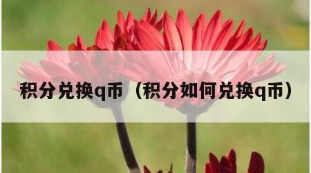 积分兑换q币（积分如何兑换q币）