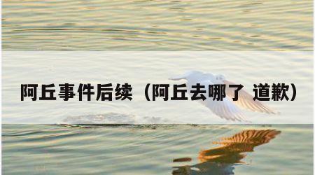 阿丘事件后续（阿丘去哪了 道歉）