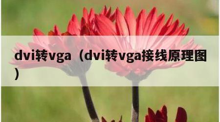 dvi转vga（dvi转vga接线原理图）