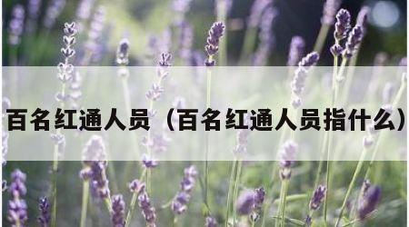 百名红通人员（百名红通人员指什么）