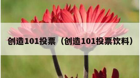 创造101投票（创造101投票饮料）