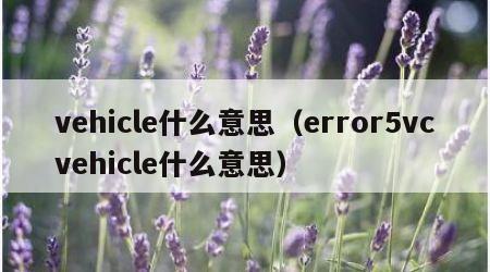vehicle什么意思（error5vcvehicle什么意思）