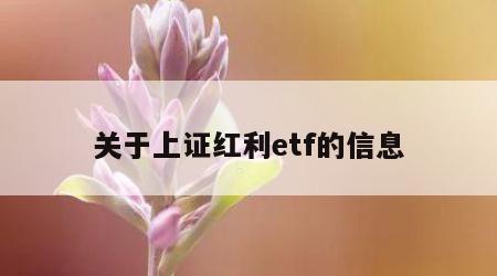关于上证红利etf的信息
