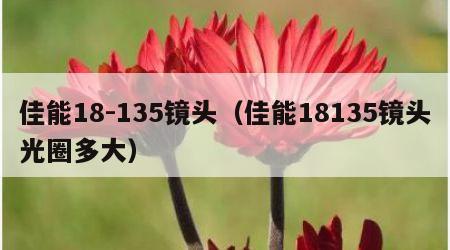 佳能18-135镜头（佳能18135镜头光圈多大）