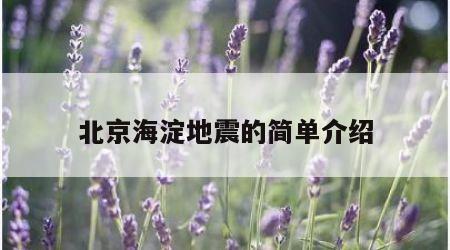 北京海淀地震的简单介绍
