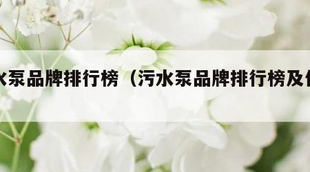 污水泵品牌排行榜（污水泵品牌排行榜及价格）